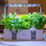How to Start Hydroponic Gardening for a Soil-Free Harvest