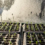 22 Brilliant Winter Seed Starting Ideas That Save You Time