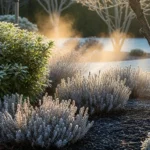 23 Lovely Winter Aromatic Plants That Make Your Yard Smell Amazing