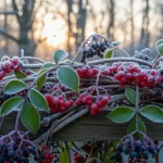 24 Berry-Producing Vines That Add Winter Drama
