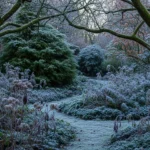 24 Underrated Woodland Winter Plants That Transform Your Yard