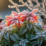 25 Beautiful Winter Plants That Attract Hummingbirds Instantly