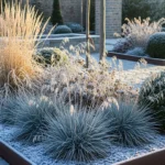 27 Stylish Winter Garden Borders That Add Instant Structure
