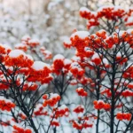 28 Beautiful Winter Berry Shrubs That Add Color Instantly
