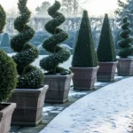 28 Elegant Winter-Friendly Topiaries That Add Luxury