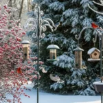 29 Charming Bird-Friendly Winter Gardens Anyone Can Build