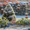 How to Attract Birds to a Winter Garden Naturally