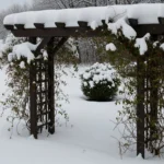 How to Build a Snow-Proof Trellis That Stands Strong
