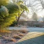 How to Grow Winter-Friendly Bamboo That Stays Green All Season