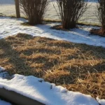 How to Heat a Winter Garden Bed to Protect Delicate Roots
