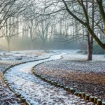 How to Start a Winter Woodland Garden That Feels Enchanted