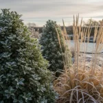 25 Wind-Resistant Winter Plants That Never Fall Over
