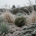 28 Winter-Hardy Ornamentals That Add Dramatic Texture