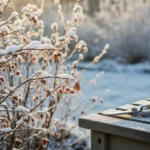How to Winter-Prune Fruit Bushes for Bigger Spring Harvests